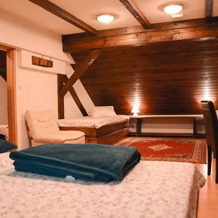 Kozolec Apartment *